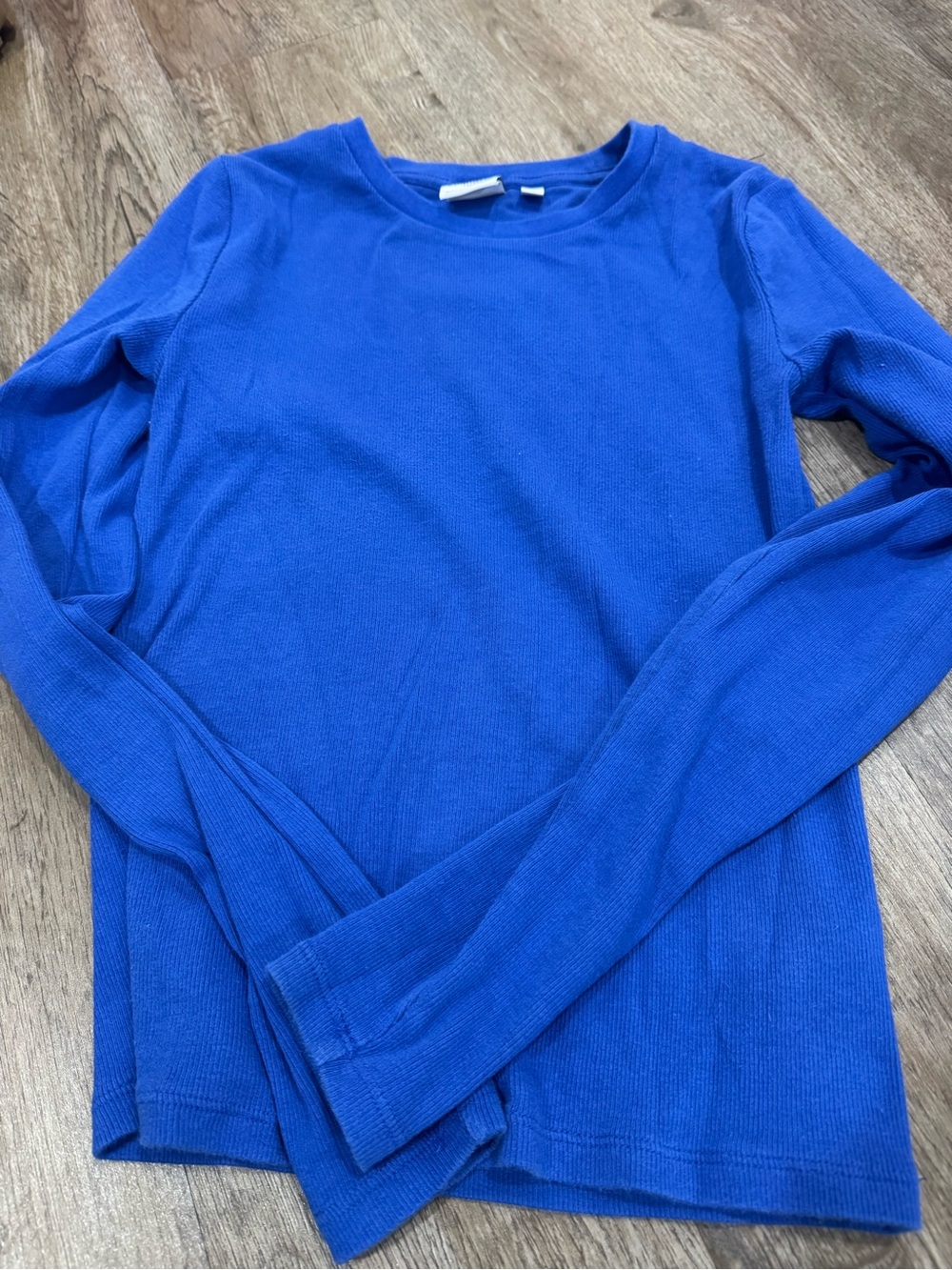 Aritzia Long Sleeve Crewneck Tee in Bright Blue
